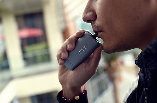 A Guide on the Best Dry Herb Vaporizer Powders that You Must Try Once
