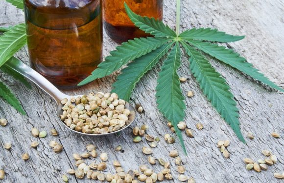 Frequently Asked Questions About Cbd