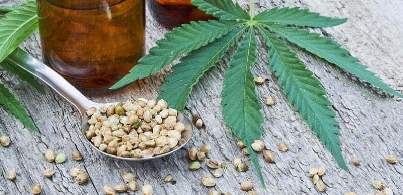 Frequently Asked Questions About Cbd