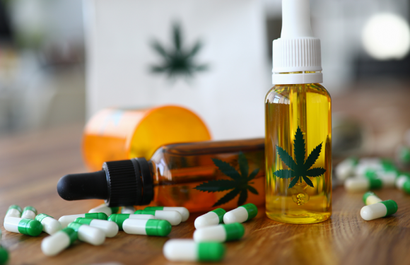 Choose Your Options for Research in CBD Oil