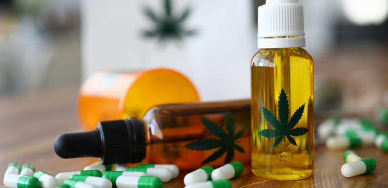 Choose Your Options for Research in CBD Oil