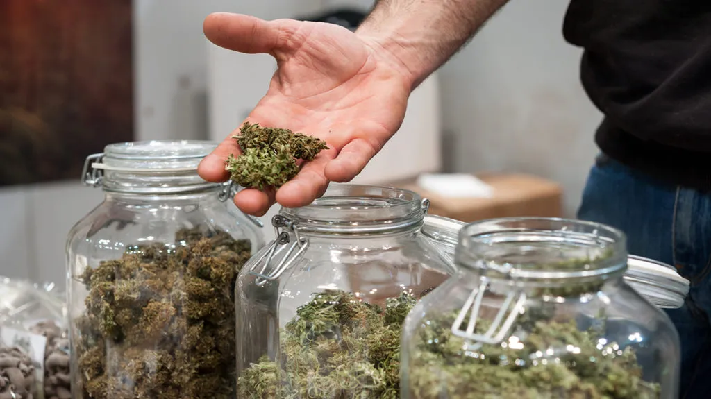 Best Benefits Of Edible Cannabis