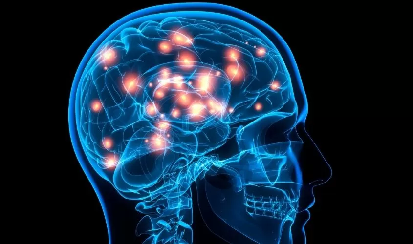 What Are The 3 Types Of Brain Performance Tests?