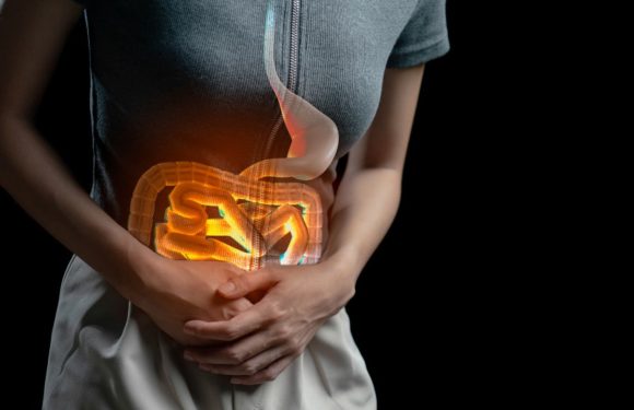 Decoding Abdominal Pain: Common Causes and Diagnoses