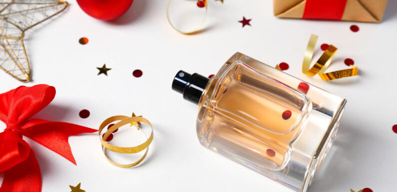 8 Reasons Why Perfume Make A Perfect Gift