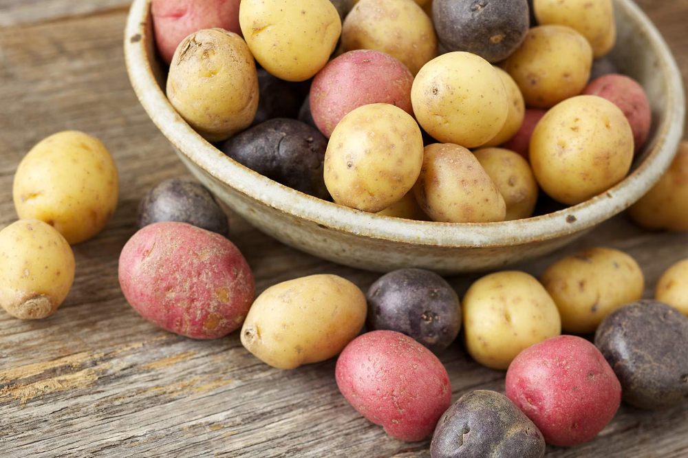 Types Of Potatoes And Their Culinary Applications
