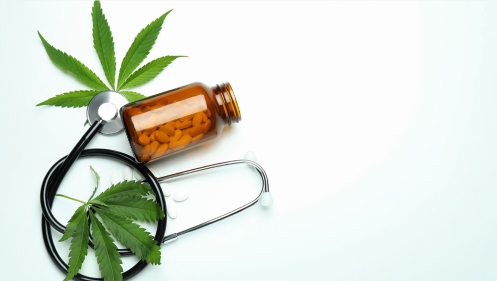 How Cannabis Edibles Can Aid in Long-Lasting Pain Relief Cannabis Edibles
