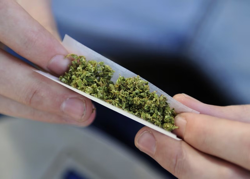 The Health Benefits of Integrating Cannabis Into Your Diet