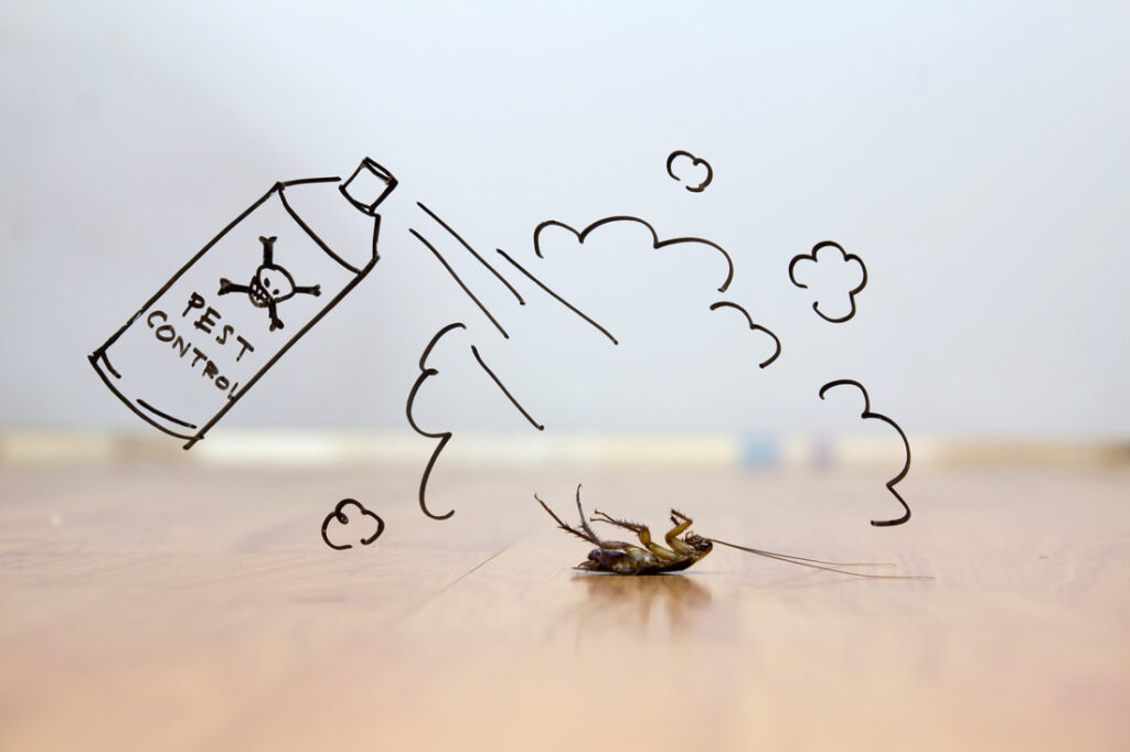 How do Infestations Reduce the Value of Your Home Due to Pests?