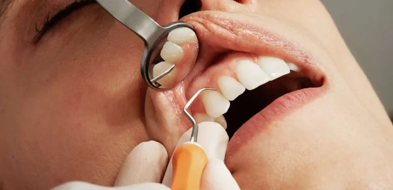 Why Building A Dental Home Is Essential For Long Term Wellness