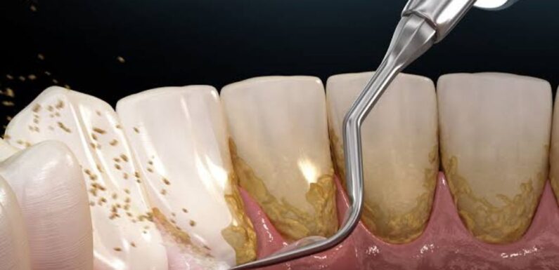 Expert Periodontal Care from a Trusted Sydney Specialist