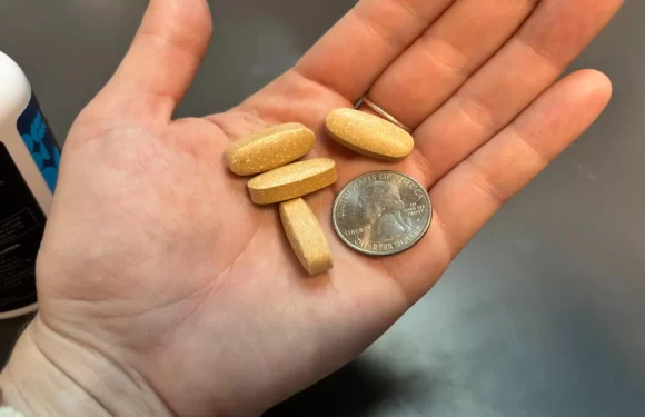 How to Pick a Natural Testosterone Support Option That Works Without Unwanted Effects?