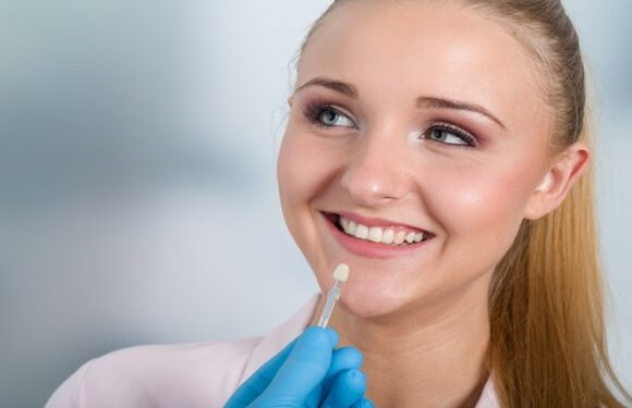 4 Cosmetic Dental Procedures That General Dentists Provide For Families