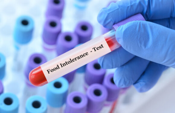 Accurate food intolerance tests help people recognize body signals