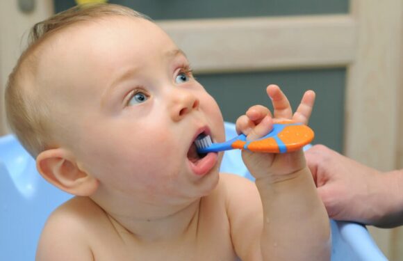 6 Questions Parents Should Ask At Their Child’s First Dental Appointment