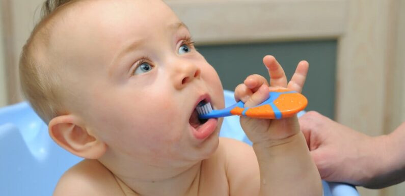 6 Questions Parents Should Ask At Their Child’s First Dental Appointment