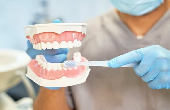 5 Preventive Services Families Should Incorporate Into Their Dental Care