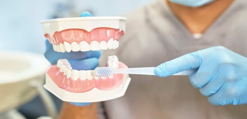 5 Preventive Services Families Should Incorporate Into Their Dental Care