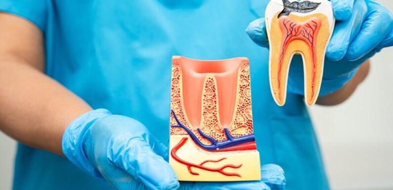 How Implant Dentistry Restores Both Aesthetics And Function