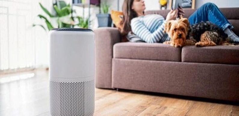 Indoor Air Quality During Wildfire Season: Data-Driven Insights and the Role of Advanced Purification Systems