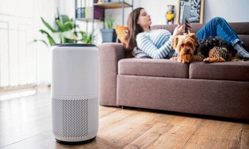 Indoor Air Quality During Wildfire Season: Data-Driven Insights and the Role of Advanced Purification Systems